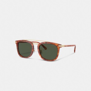 Coach Wrap Around Hangtag Browbar Sunglasses Caramel Tortoise | COH867070