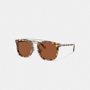 Coach Wrap Around Hangtag Browbar Sunglasses Honey Tortoise | COH867086