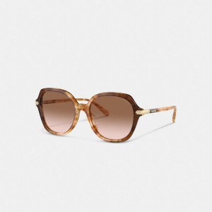 Coach Wrap Around Hangtag Oversized Geometric Round Sunglasses Honey Tortoise | COH866341