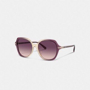 Coach Wrap Around Hangtag Oversized Geometric Round Sunglasses Purple/Beige Gradient | COH866373