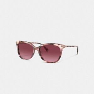 Coach Wrap Around Hangtag Square Sunglasses Pink Tortoise | COH866337