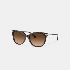 Coach Wrap Around Hangtag Square Sunglasses Dark Tortoise | COH866396