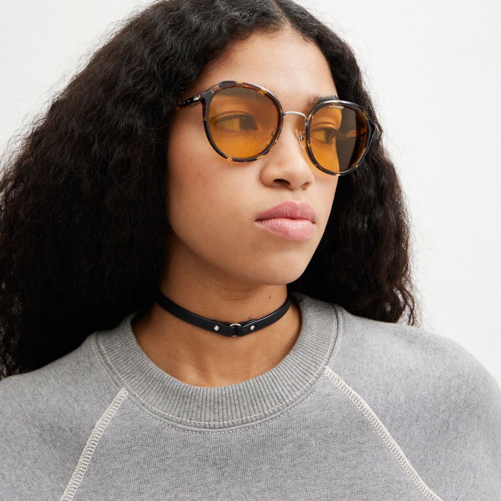Coach Hangtag Geometric Round Sunglasses Honey Tortoise | COH866360