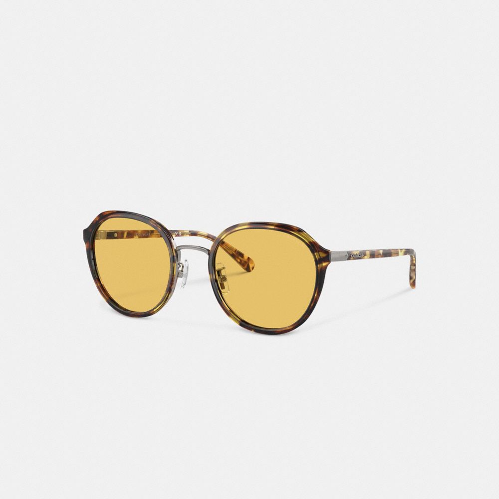 Coach Hangtag Geometric Round Sunglasses Honey Tortoise | COH866360