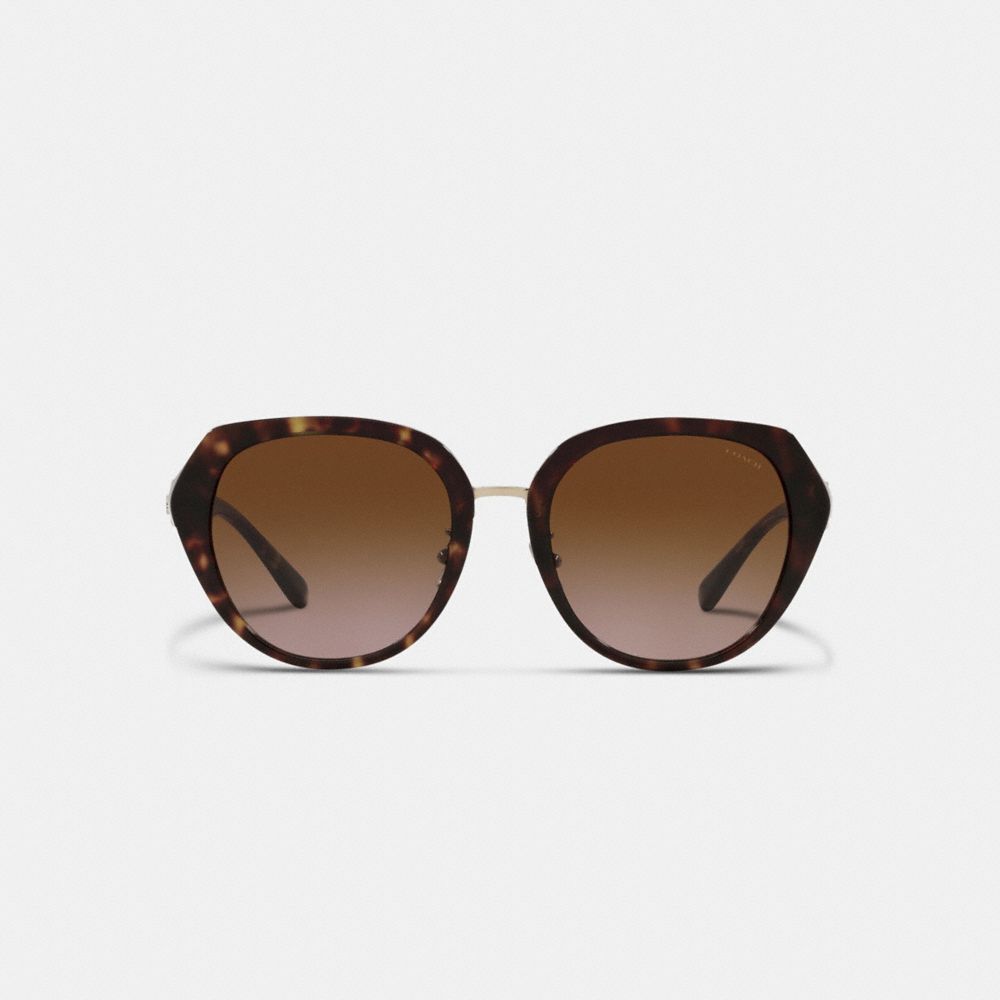Coach Horse And Carriage Oversized Round Sunglasses Dark Tortoise | COH866376