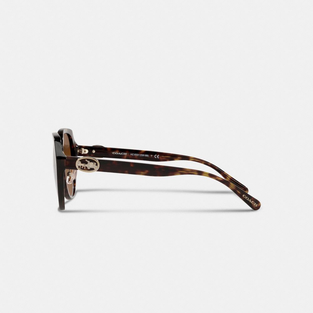 Coach Horse And Carriage Oversized Round Sunglasses Dark Tortoise | COH866376